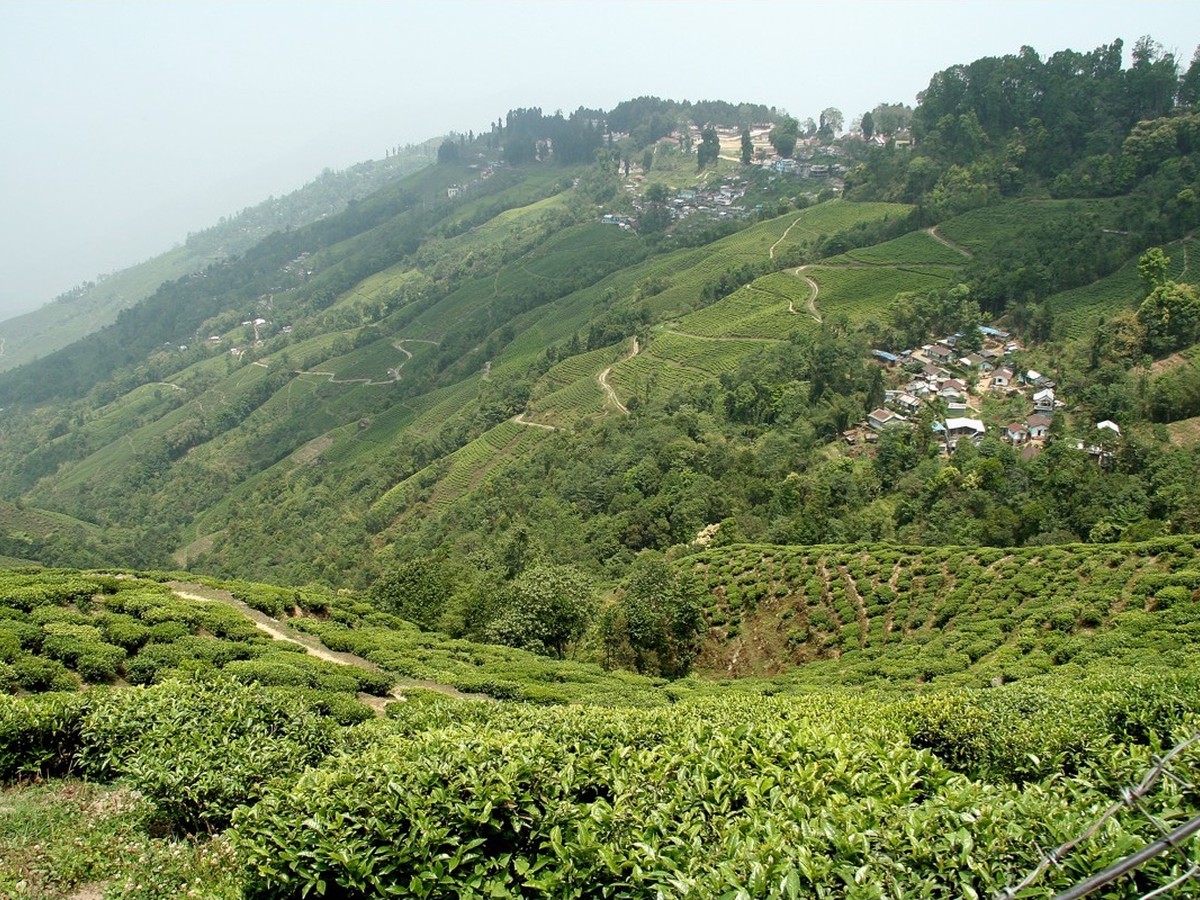 Illam gallery 1