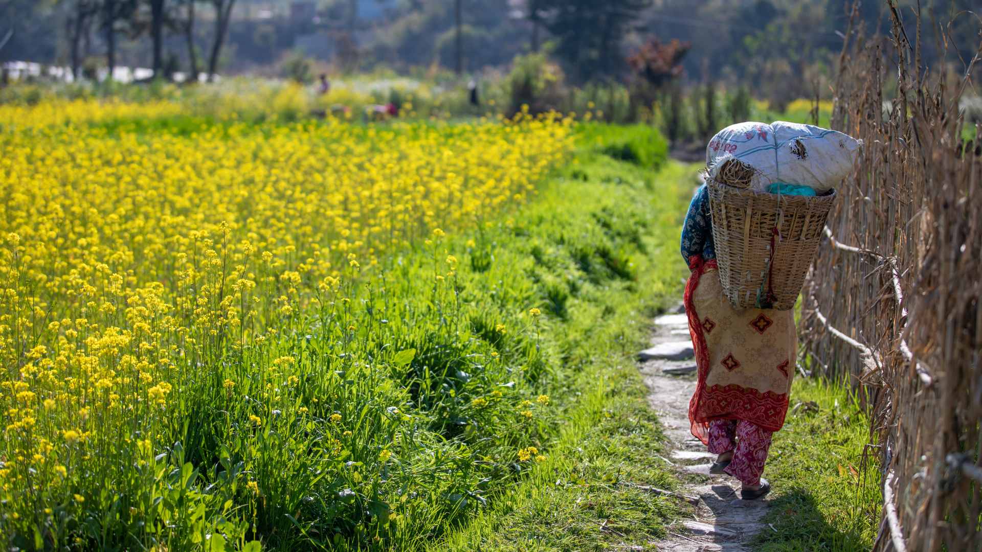Elysian Classic Journey experience - Cultural heritage moment 4 in Nepal