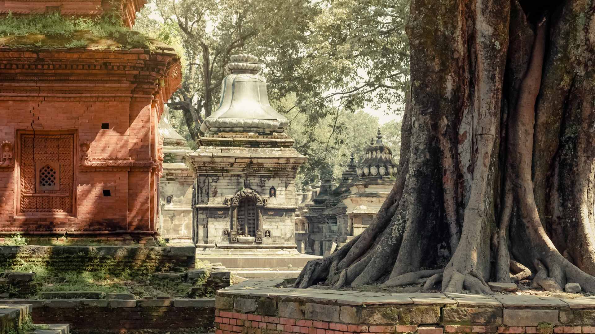 Elysian Premium Journey experience - Spiritual sanctuary moment 1 in Nepal